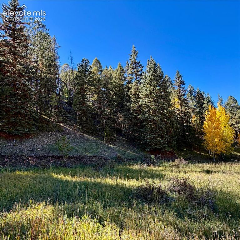 535 Willow Road, Divide, CO 80814 — photo 3
