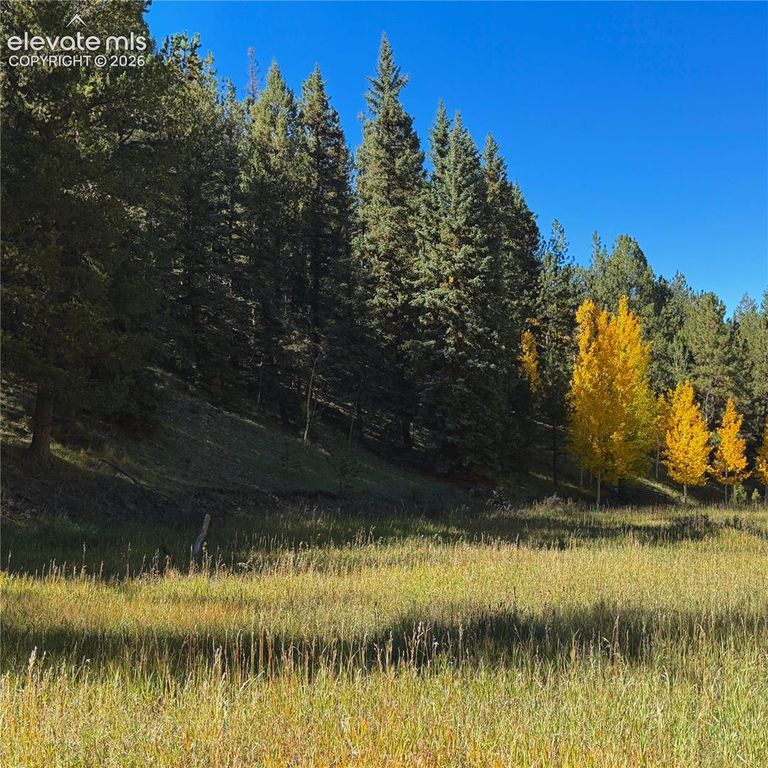 535 Willow Road, Divide, CO 80814 — photo 4