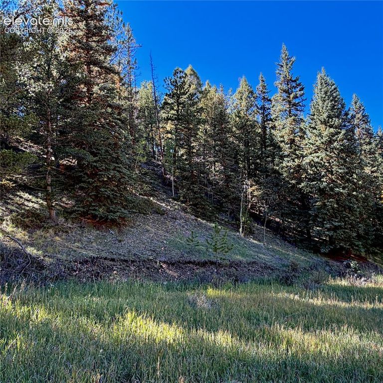535 Willow Road, Divide, CO 80814 — photo 5