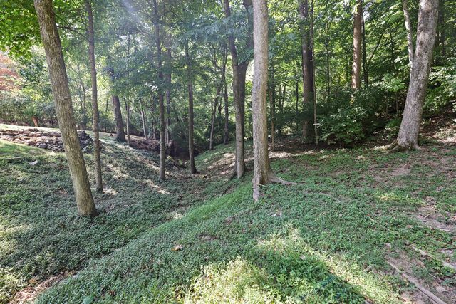 700 Highland View Pl, Brentwood, TN 37027