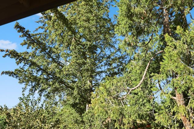 735 Carr Ave, Santa Rosa, CA 95404