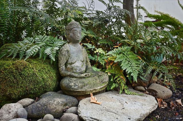 735 Carr Ave, Santa Rosa, CA 95404