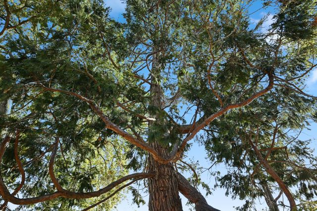 735 Carr Ave, Santa Rosa, CA 95404