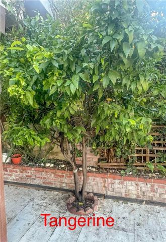 2202 Paso Real Avenue, Rowland Heights, CA 91748