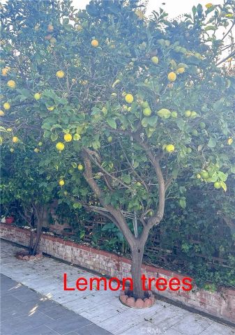 2202 Paso Real Avenue, Rowland Heights, CA 91748