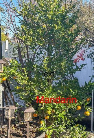 2202 Paso Real Avenue, Rowland Heights, CA 91748