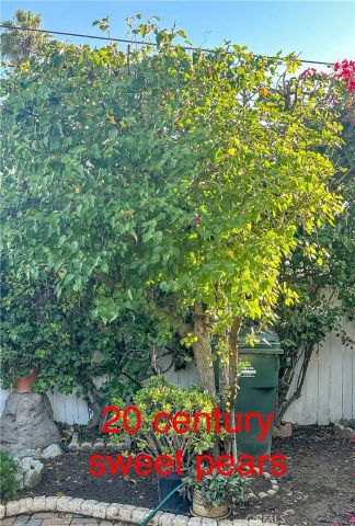 2202 Paso Real Avenue, Rowland Heights, CA 91748