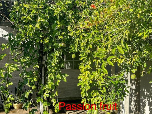 2202 Paso Real Avenue, Rowland Heights, CA 91748