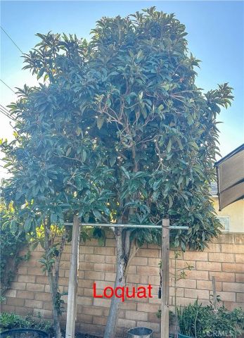 2202 Paso Real Avenue, Rowland Heights, CA 91748