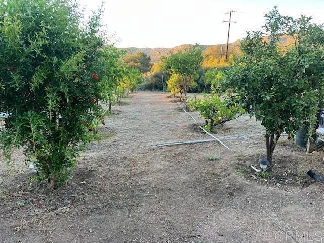 2526 Forest Park Rd, Jamul, CA 91935