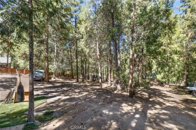 54450 Marian View Drive, Idyllwild, CA 92549
