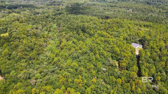 0 Mount Pilgrim Road, Eight Mile, AL 36613