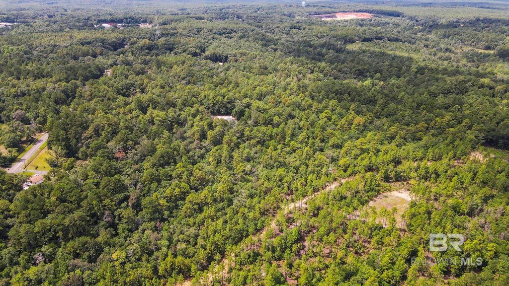 0 Mount Pilgrim Road, Eight Mile, AL 36613