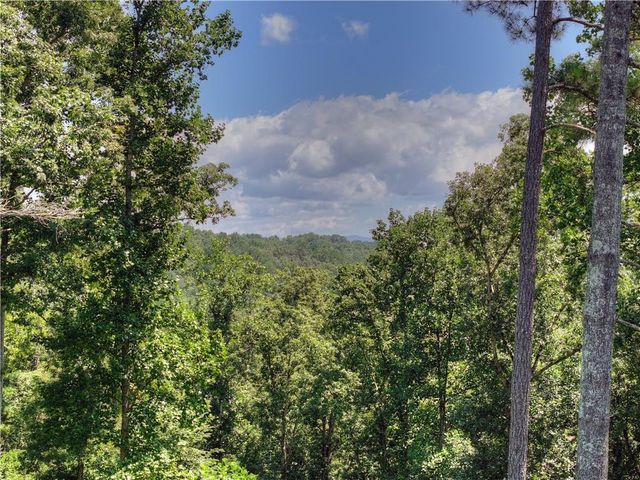 196 N Jakes Landing Way, Ellijay, GA 30540