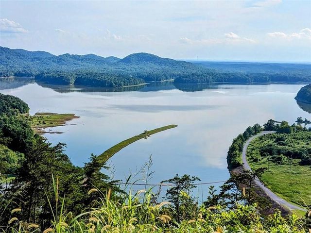 196 N Jakes Landing Way, Ellijay, GA 30540