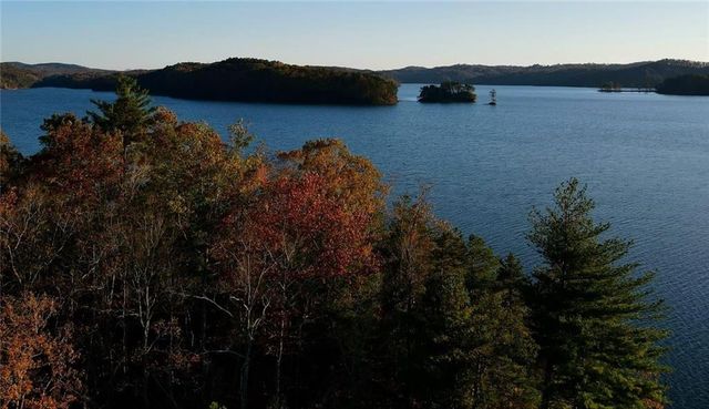196 N Jakes Landing Way, Ellijay, GA 30540