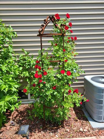 1212 7th STREET S, La Crosse, WI 54601