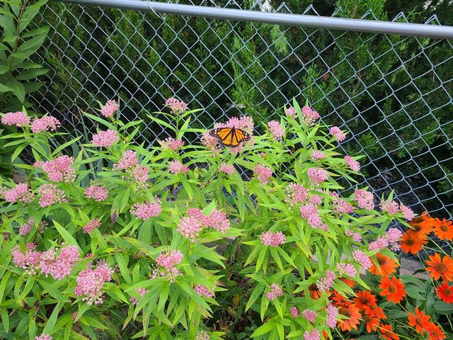 1212 7th STREET S, La Crosse, WI 54601