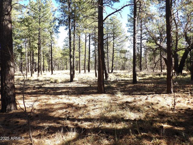 1800 N WAKONDA Street, Flagstaff, AZ 86004