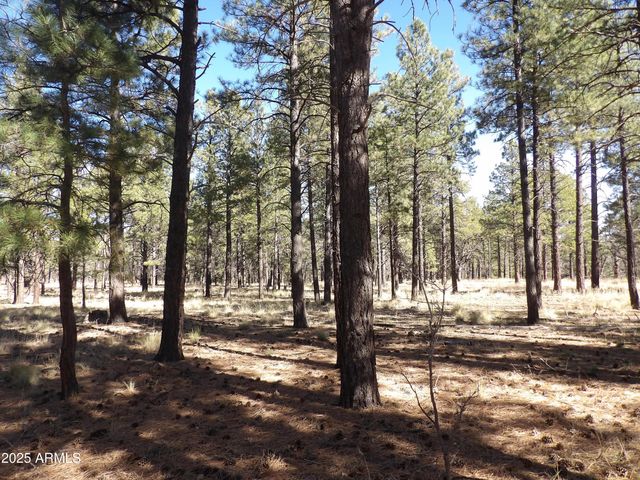 1800 N WAKONDA Street, Flagstaff, AZ 86004