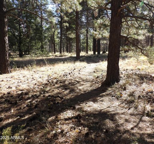 1800 N WAKONDA Street, Flagstaff, AZ 86004