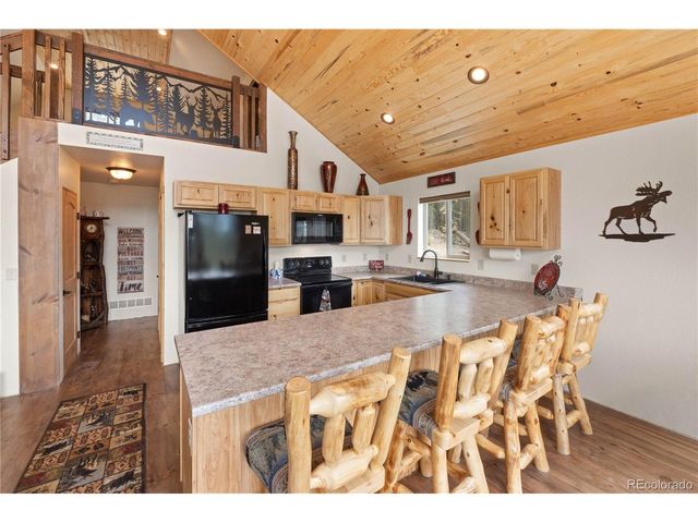 64 Bourbons Way, Fairplay, CO 80440