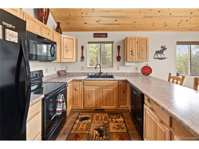 64 Bourbons Way, Fairplay, CO 80440
