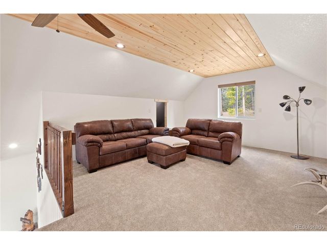 64 Bourbons Way, Fairplay, CO 80440