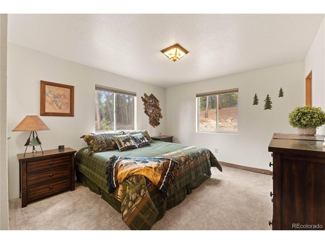 64 Bourbons Way, Fairplay, CO 80440