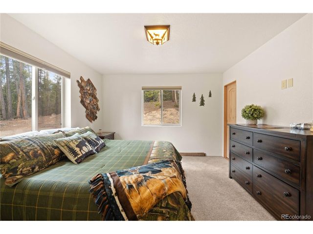 64 Bourbons Way, Fairplay, CO 80440