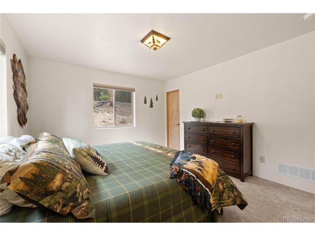 64 Bourbons Way, Fairplay, CO 80440