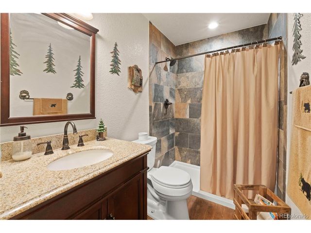 64 Bourbons Way, Fairplay, CO 80440