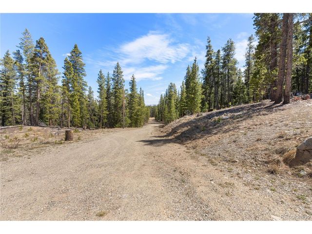 64 Bourbons Way, Fairplay, CO 80440