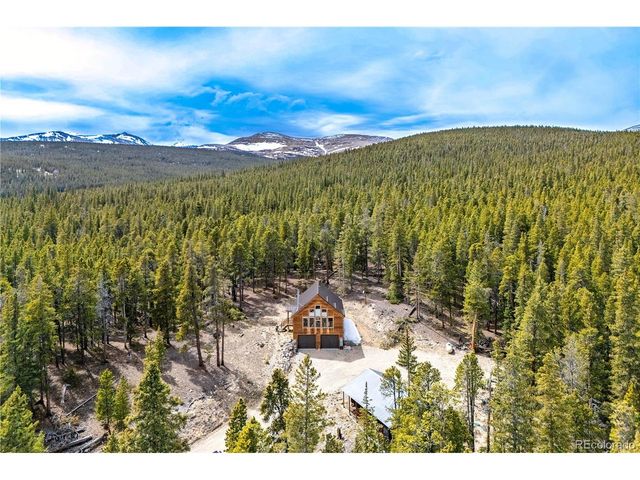 64 Bourbons Way, Fairplay, CO 80440