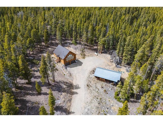 64 Bourbons Way, Fairplay, CO 80440