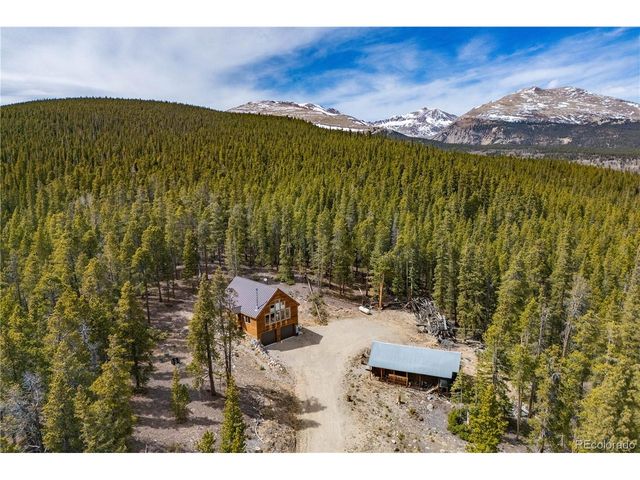64 Bourbons Way, Fairplay, CO 80440