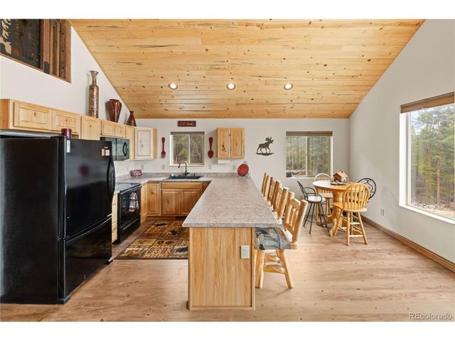 64 Bourbons Way, Fairplay, CO 80440