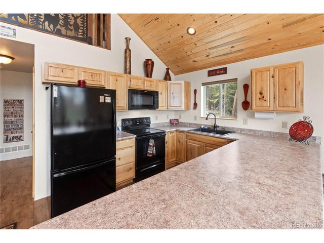 64 Bourbons Way, Fairplay, CO 80440