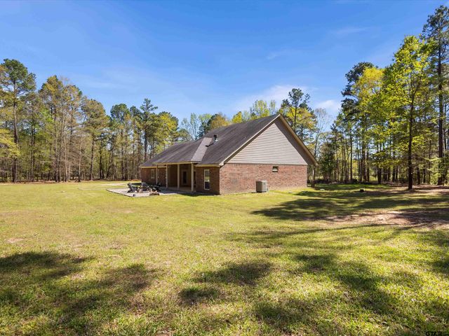 10024 A FM 49, Big Sandy, TX 75755
