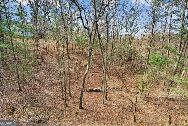 750 Lemmon Lane S 200, Ellijay, GA 30540