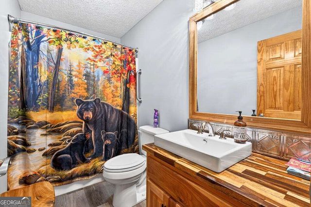 750 Lemmon Lane S 200, Ellijay, GA 30540