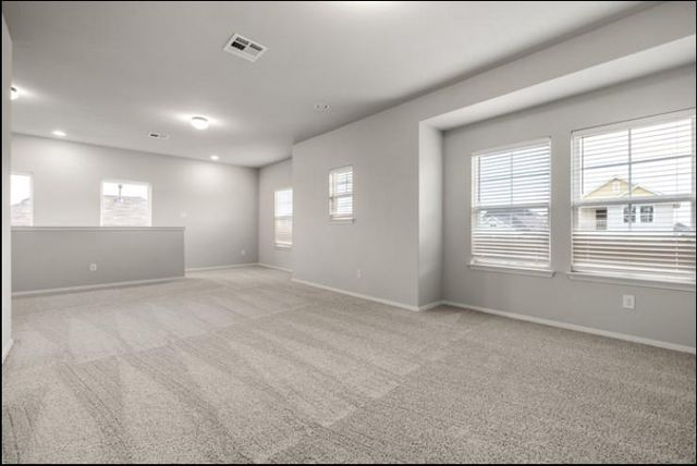 353 Spiny Lizard LN, San Marcos, TX 78666