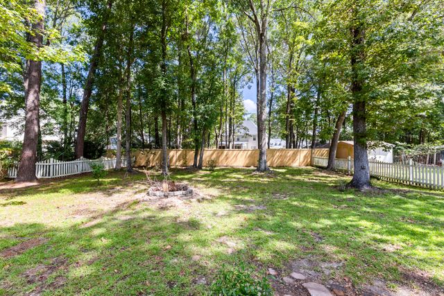 1151 Black Rush Circle, Mount Pleasant, SC 29466