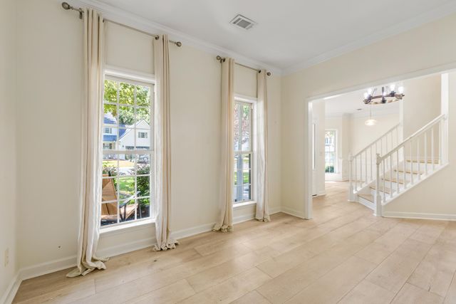 1151 Black Rush Circle, Mount Pleasant, SC 29466