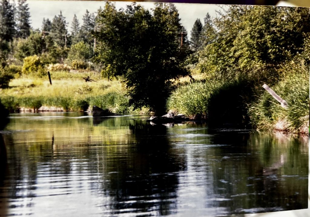 NKA E Deer Park Milan Rd, Chattaroy, WA 99003 photo 3