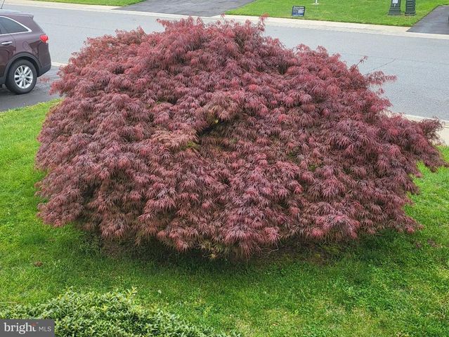 926 APPLEBERRY DR, Smyrna, DE 19977