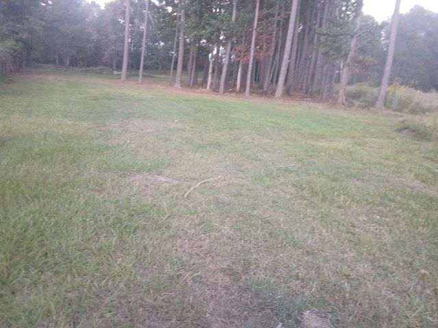 1359 County Road 3479j, Cleveland, TX 77327