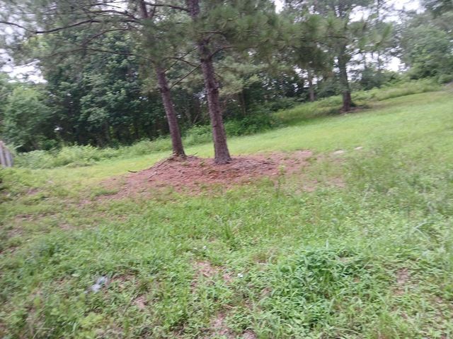 1359 County Road 3479j, Cleveland, TX 77327