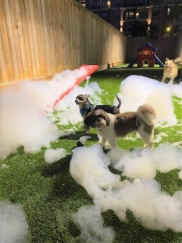 160 Birdsall Street 1417, Houston, TX 77007