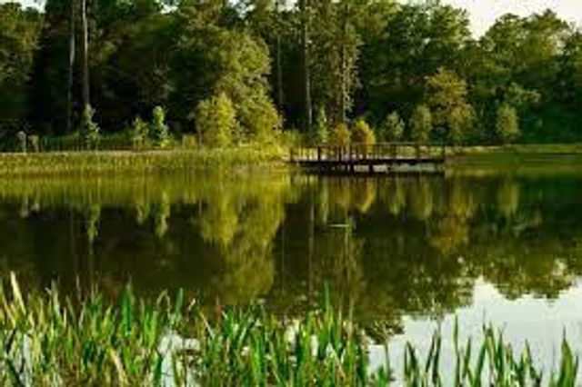 160 Birdsall Street 1417, Houston, TX 77007